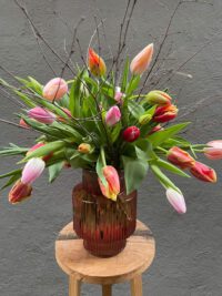 gemengde-tulp-1-45