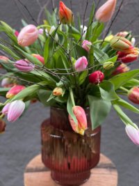 gemengde-tulp-2-45